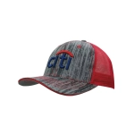 A cap featuring a grey wood print design with a red mesh back and a blue logo on the front.