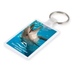 A white keytag featuring a dolphin swimming in blue water, with a logo at the bottom.