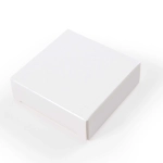 A white cardboard box with a smooth, clean exterior.