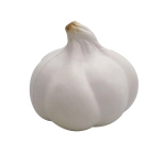 A white garlic-shaped stress ball with rounded sections, designed for stress relief and relaxation.